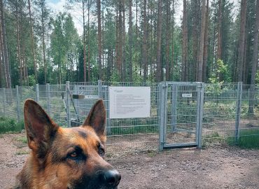 Tervetuloa Taivassalon koirapuistoon!