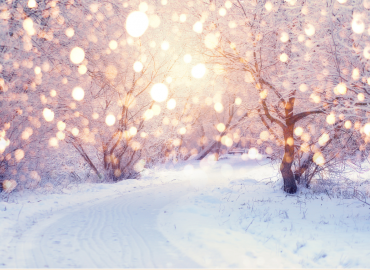 Yst&auml;v&auml;np&auml;iv&auml;n talvirieha la 14.2.