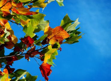Syysloma nuorisotoimen kanssa