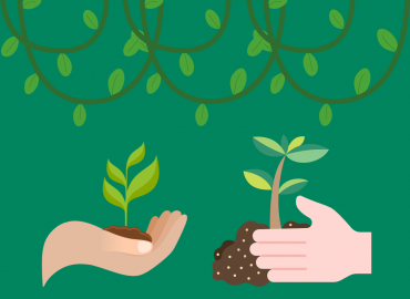 Viherkasvit vaihtoon kirjastossa 2.3.